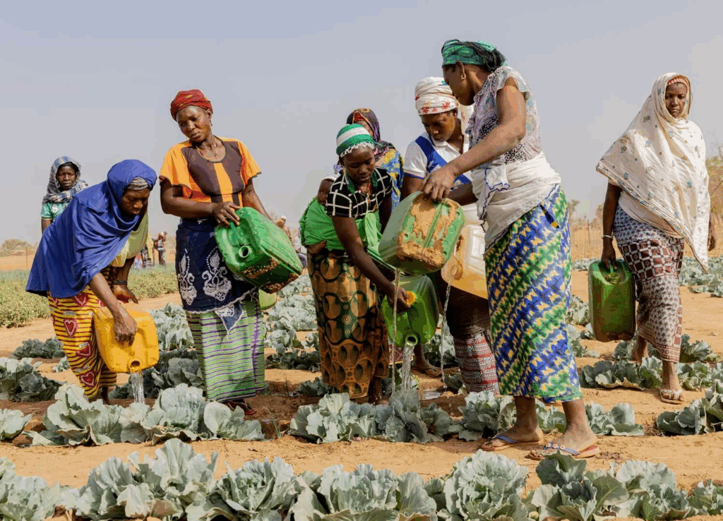 image-23-1024x738 Alianças do Sahel: Da Colonização ao Horizonte Pós Barkhane 