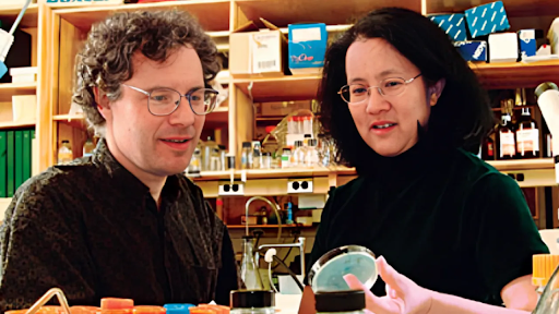 Nobel-4 O Prêmio Nobel: Quando a Paz tem a Face da Guerra