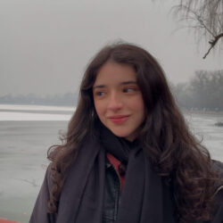 cropped-IMG_7590-250x250 A Política de Caça às Bruxas do ICE